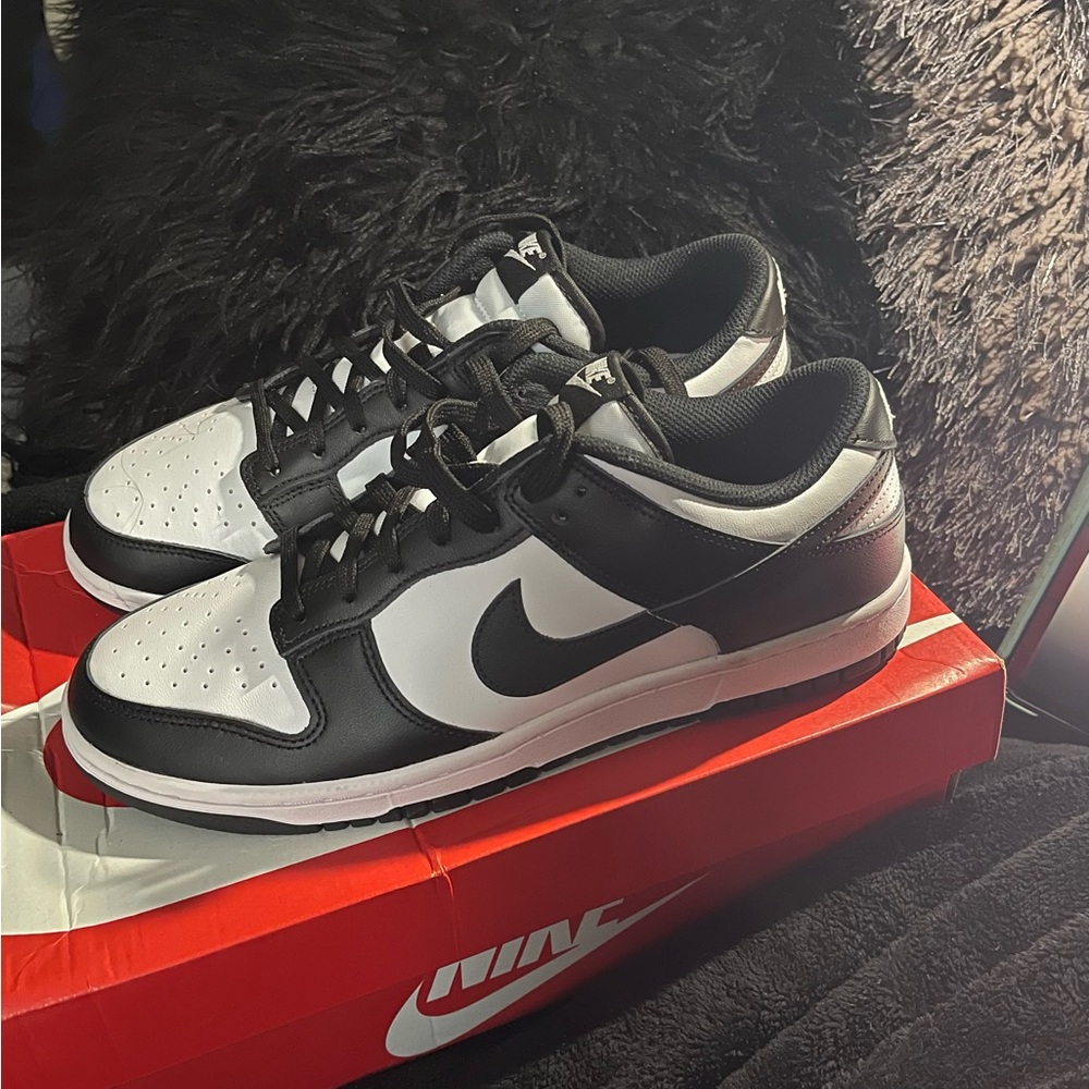 Nike Dunks Low Tops